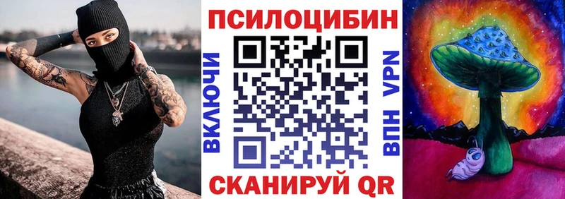 сколько стоит  Западная Двина  Галлюциногенные грибы GOLDEN TEACHER 